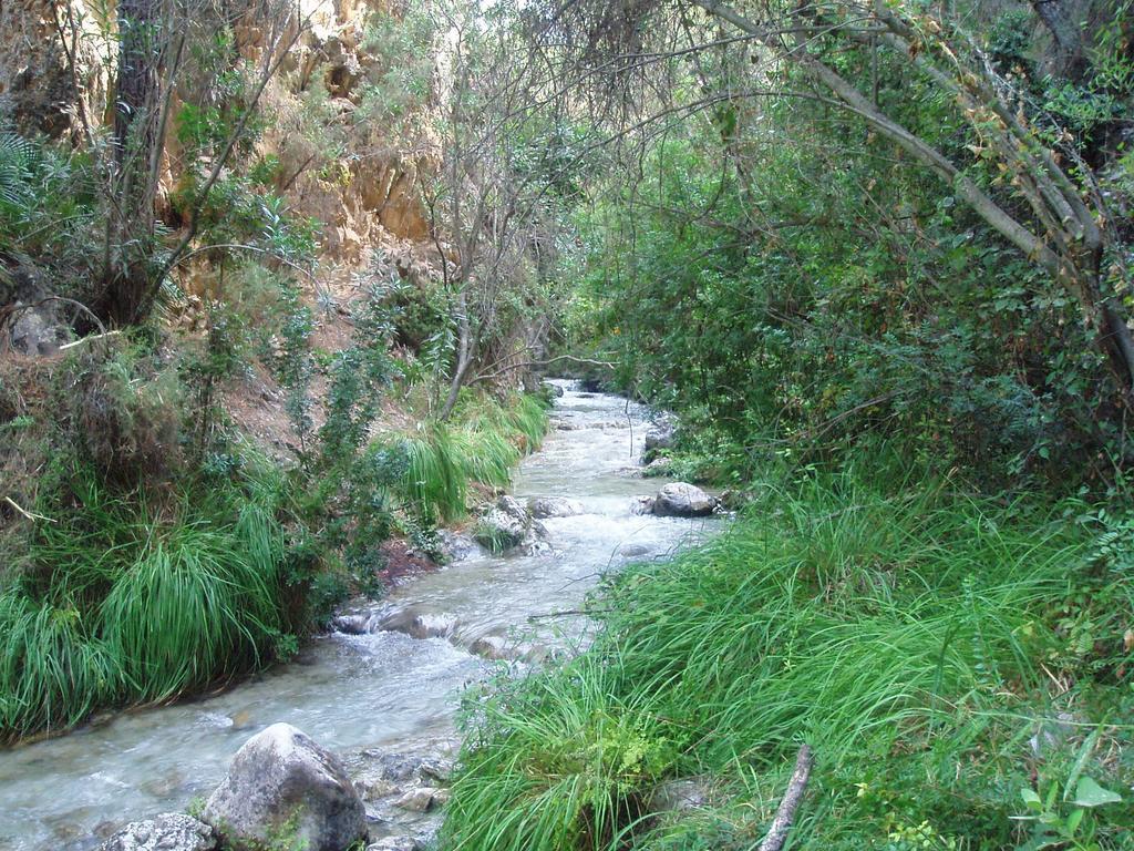 Hotel Rural Almazara Frigiliana Dış mekan fotoğraf